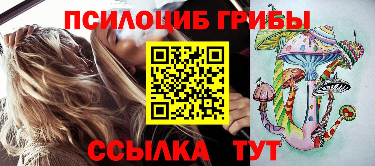 Галлюциногенные грибы мицелий  Псилоцибиновые грибы ЛСД  Вход с VPN  Назрань 