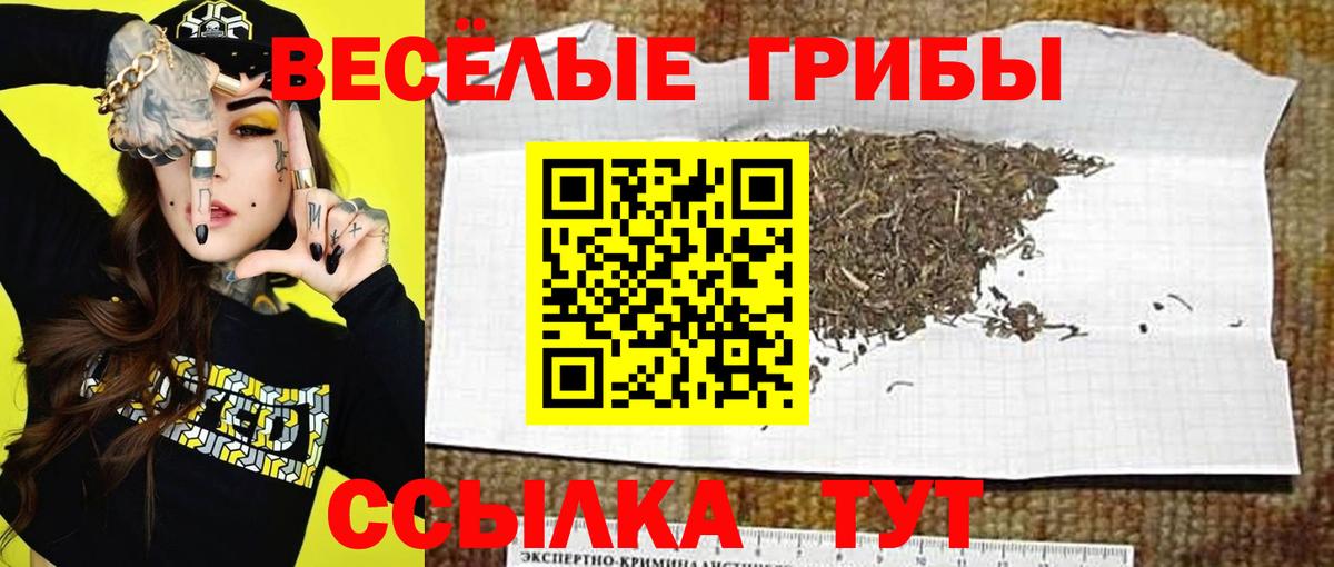 Псилоцибиновые грибы MAGIC MUSHROOMS Назрань